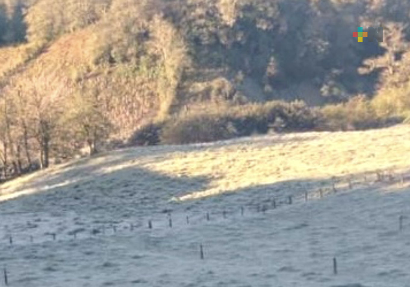 Este jueves continúa ambiente frío y heladas en montañas de Veracruz